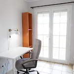 Accommodatie bij particulieren Medano Coliving *